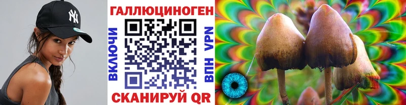 что такое   Новочебоксарск  Галлюциногенные грибы Magic Shrooms 